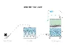 Bofa_ILF300_-_Inline_Filter_Unit_ft2.webp